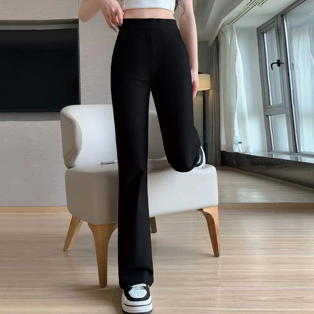 Women’s Bootcut  Pants  Collection