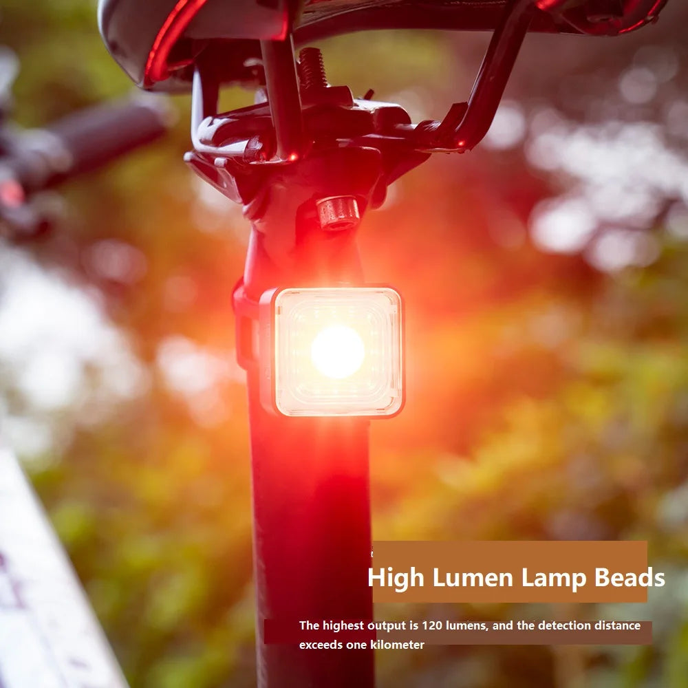 "Smart Brake Sensing Bicycle Lights: Illuminate Your Ride Safely"