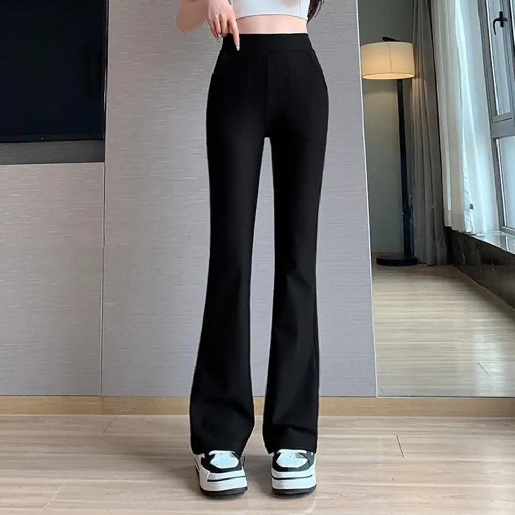 Women’s Bootcut  Pants  Collection